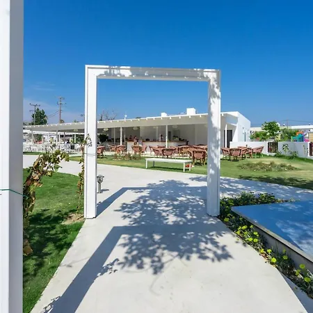 Stamos * 팔리라키